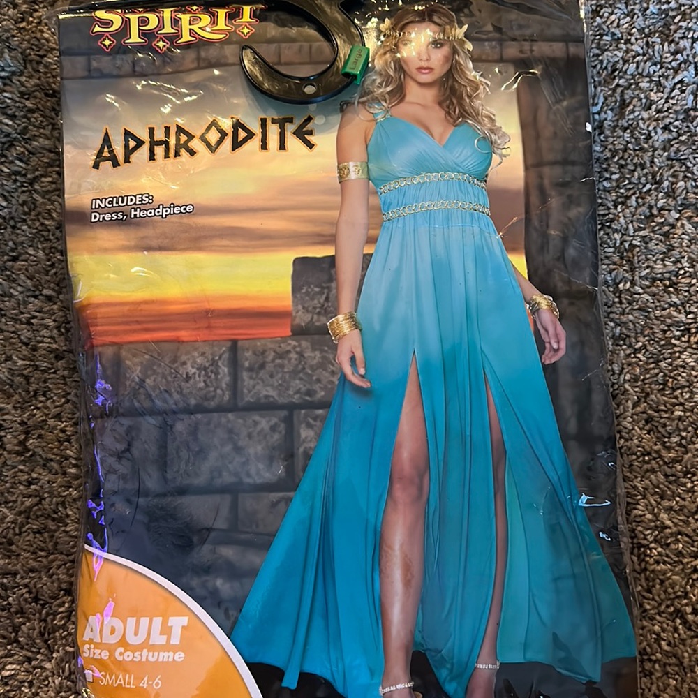 Spirit store costume
